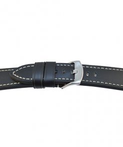 PANF C13201