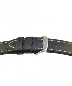 PANFS C13201